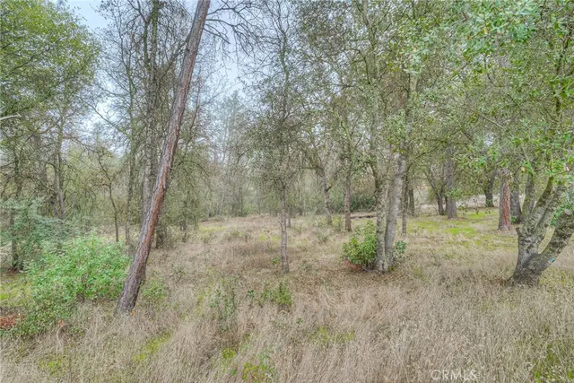 $565,000 | 2950 Foothill Boulevard, Oroville, CA 95966