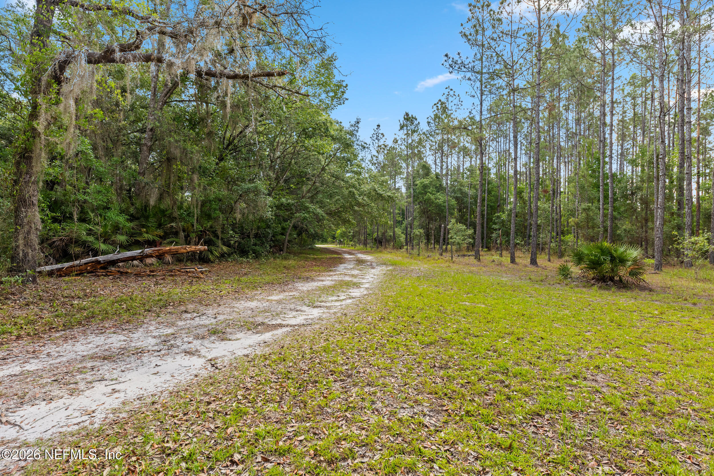 181 Carraway Church Road Palatka, FL 32177 - Photo 31 of 35 Driveway