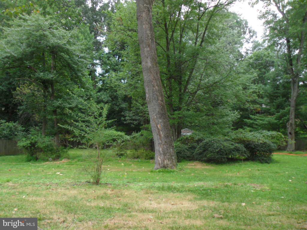 801 Anderson Street Silver Spring, MD 20904 - Photo 21 of 23 huge backyard