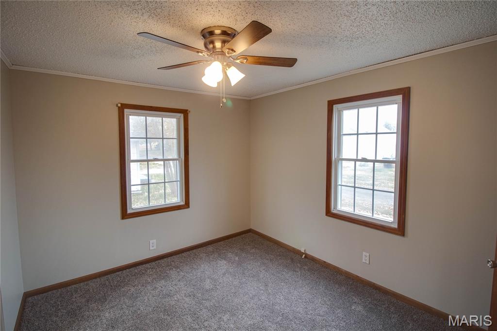 123 North Sawyer Street Wilsonville, IL 62093 - Photo 23 of 30