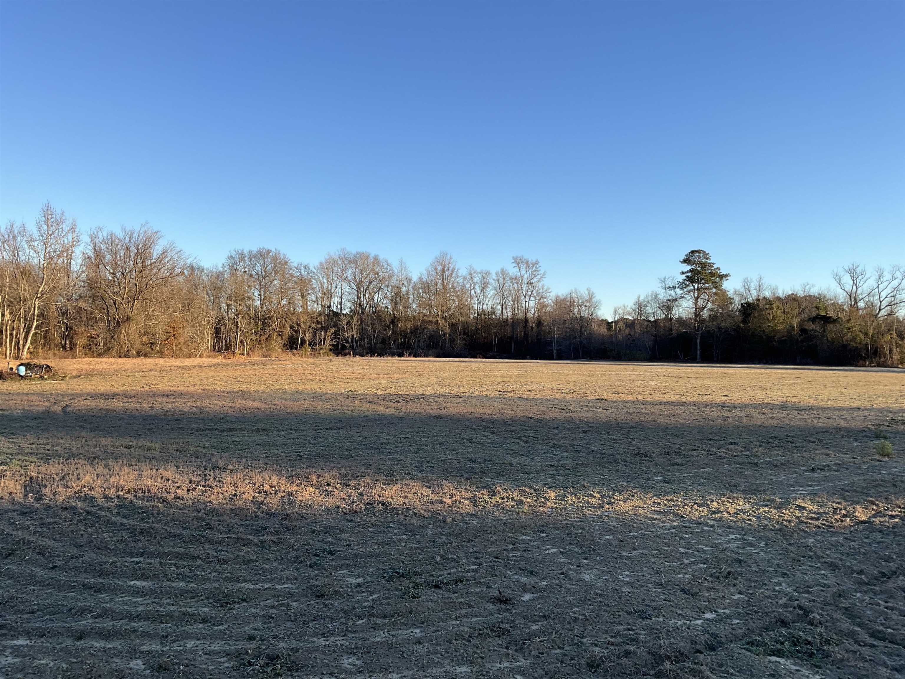 Tbd Senator Gasque Road Mullins, SC 29574 - Photo 13 of 15 View of yard with a view of rural / pastoral area