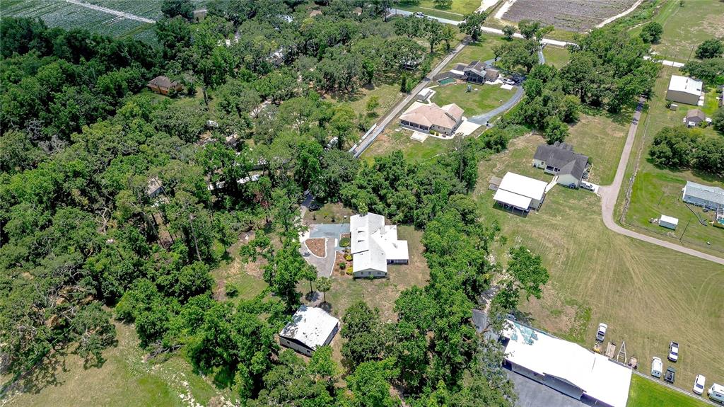 1931 Jaudon Road Dover, FL 33527 - Photo 44 of 50 an aerial view of a house with a yard and garden
