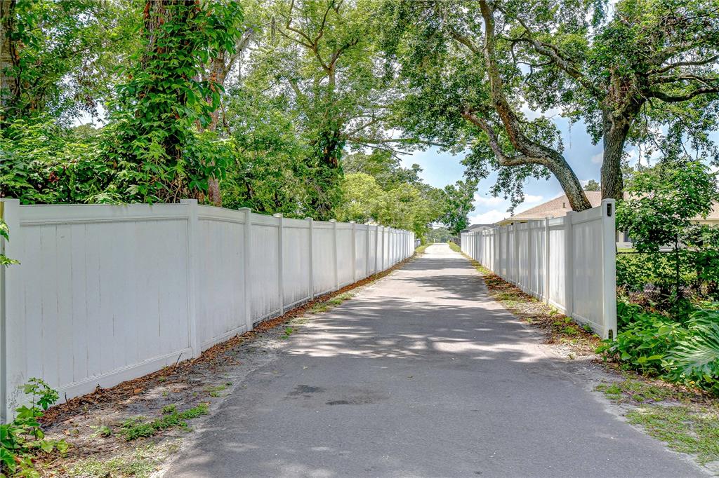 1931 Jaudon Road Dover, FL 33527 - Photo 46 of 50 a view of a backyard with large trees and wooden fence
