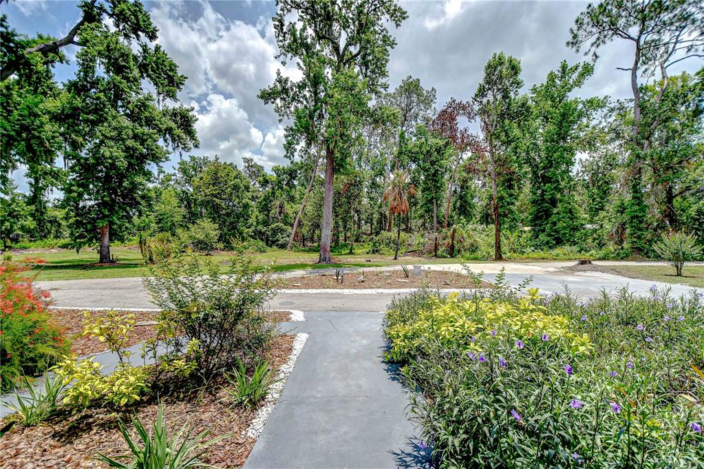 1931 Jaudon Road Dover, FL 33527 - Photo 50 of 50 a view of yard with green space