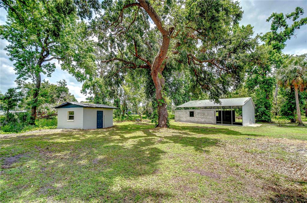 1931 Jaudon Road Dover, FL 33527 - Photo 6 of 50 a front view of house with yard and trees in the background