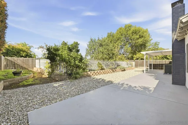 a view of road with large trees