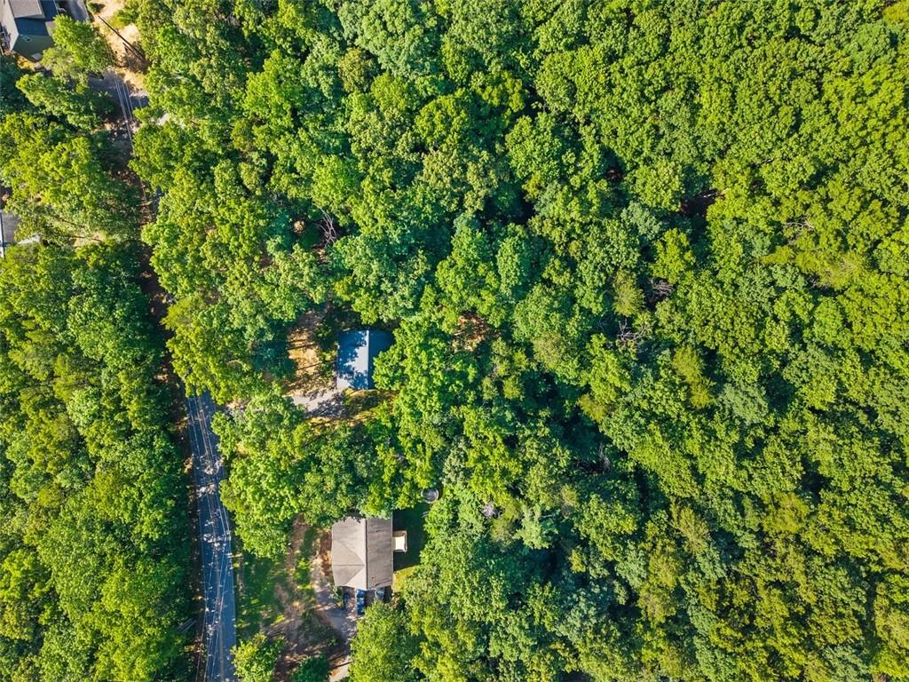 280 Sleepy Hollow Road Dahlonega, GA 30533 - Photo 46 of 48