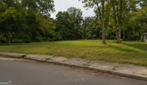 a view of a field with trees in background