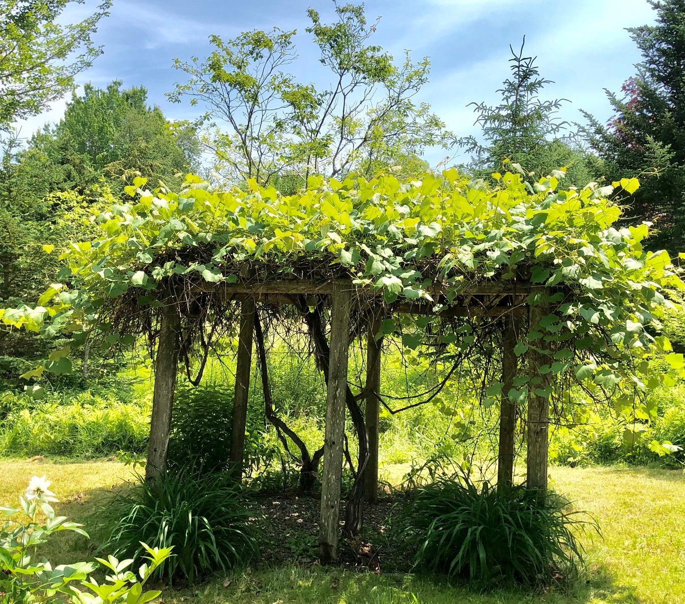 668 Bayside Road Ellsworth, ME 04605 - Photo 40 of 47 Garden area