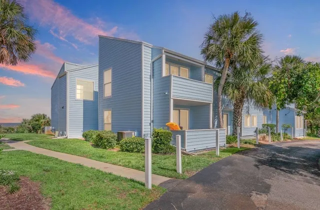 a view of a garden from a window