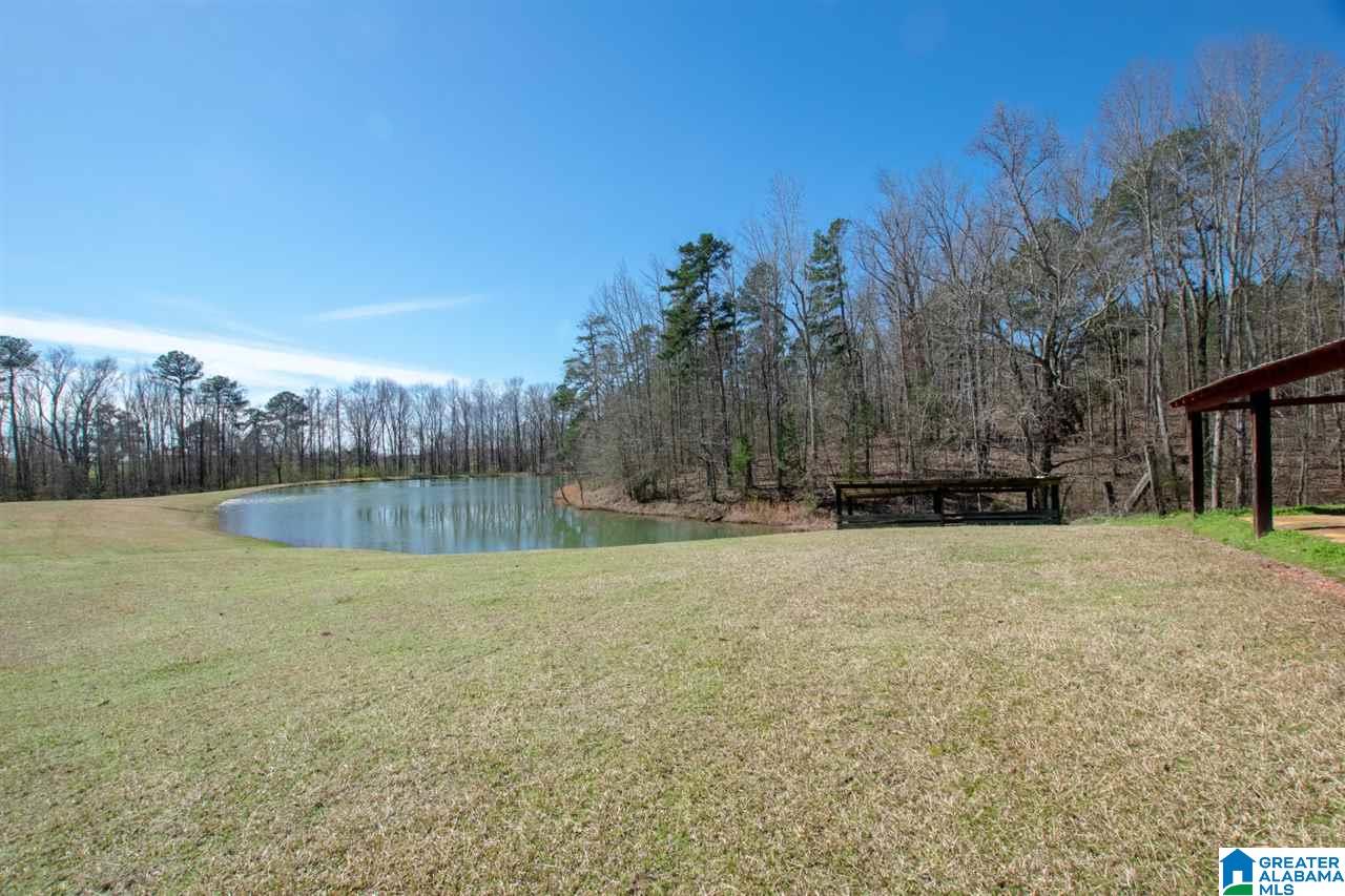 960 Rock Springs Road Warrior, AL 35180 - Photo 28 of 46