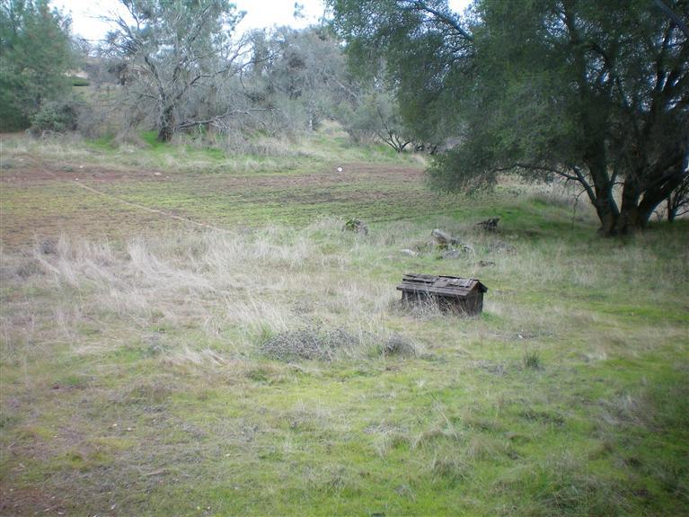 31023 Revis Road Coarsegold, CA 93614 - Photo 8 of 9 Gallery Image 8
