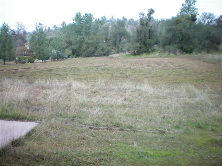 31023 Revis Road Coarsegold, CA 93614 - Photo 9 of 9 Gallery Image 9