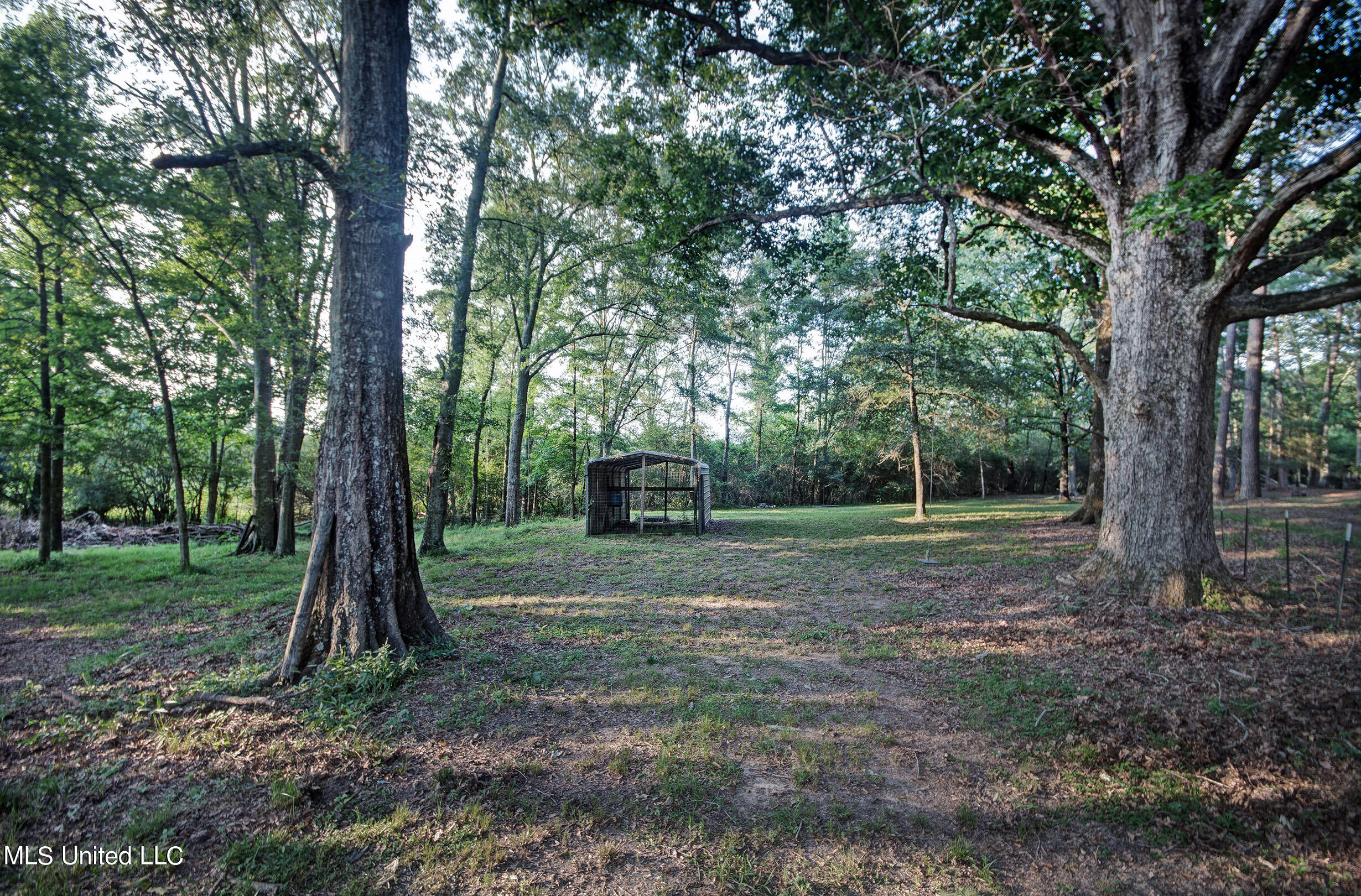 250 Roberts Road Newhebron, MS 39140 - Photo 18 of 46 IMGP1987_8_9
