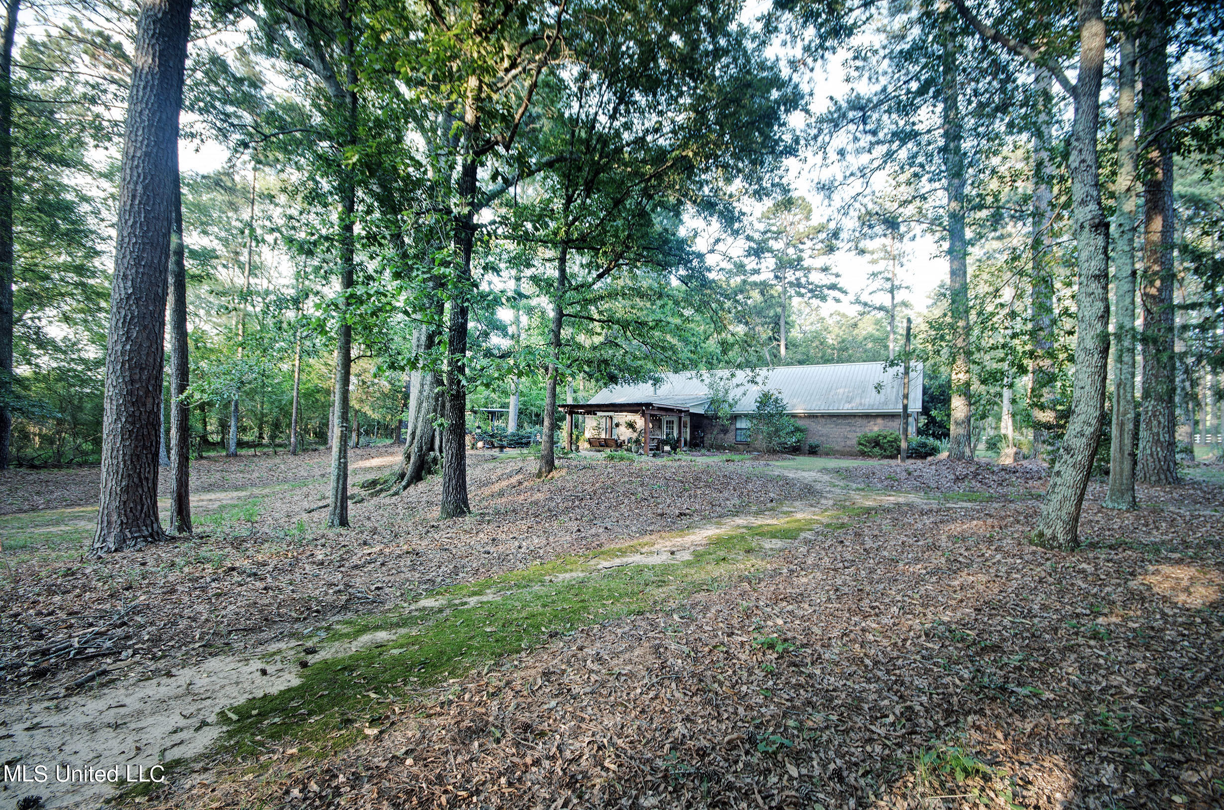 250 Roberts Road Newhebron, MS 39140 - Photo 19 of 46 IMGP1990_1_2