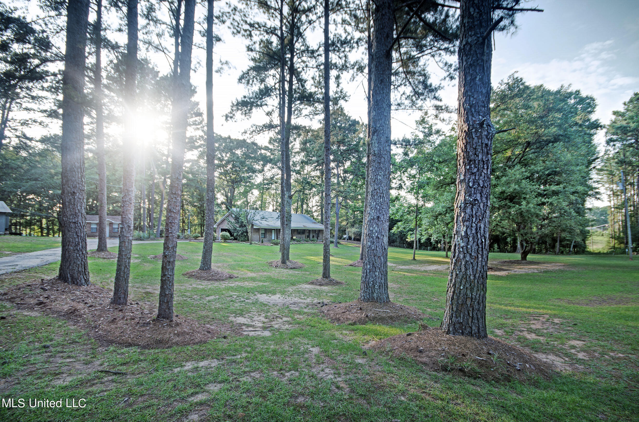 250 Roberts Road Newhebron, MS 39140 - Photo 2 of 46 IMGP1876_7_8