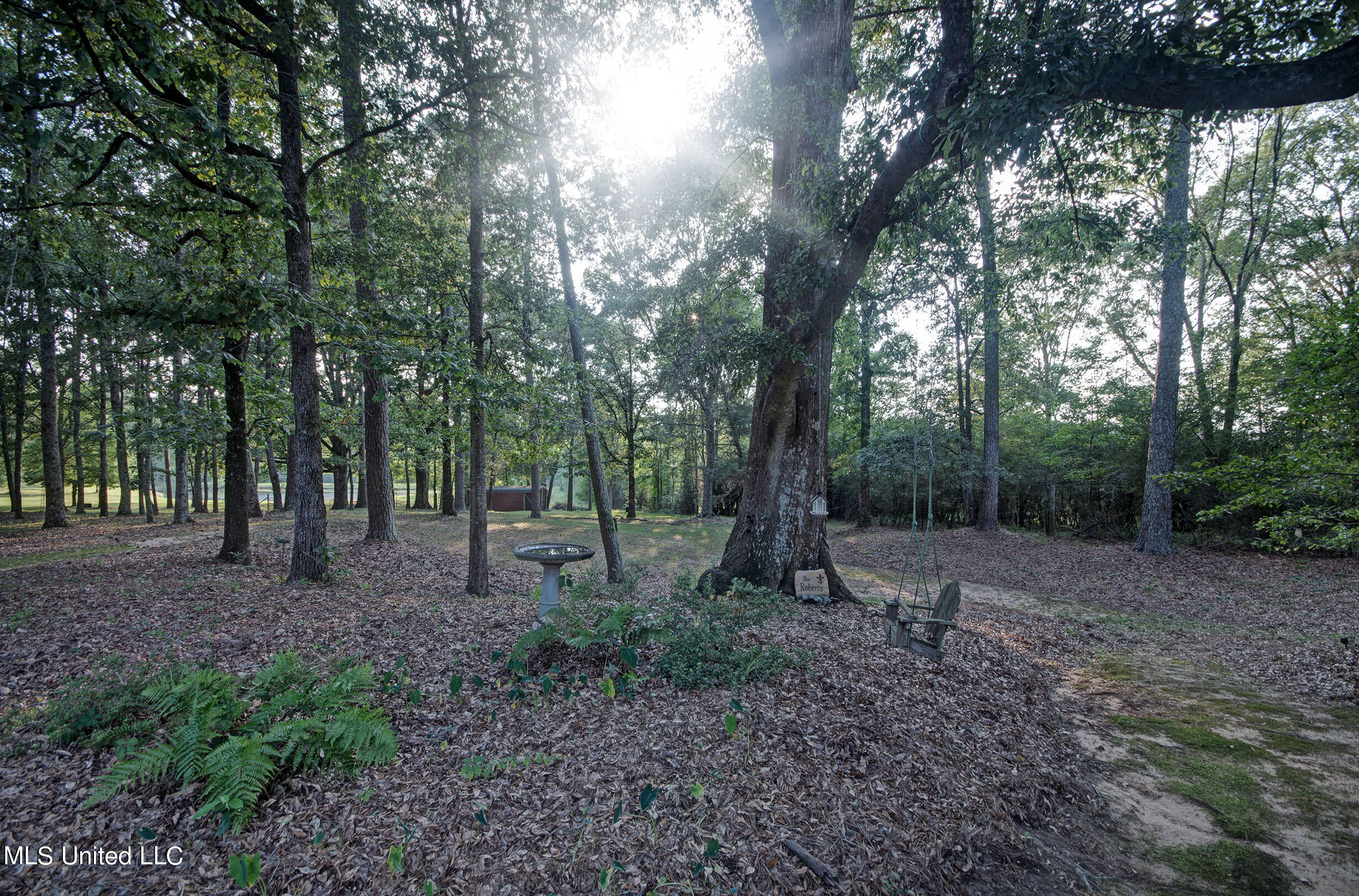 250 Roberts Road Newhebron, MS 39140 - Photo 22 of 46 IMGP2008_09_10