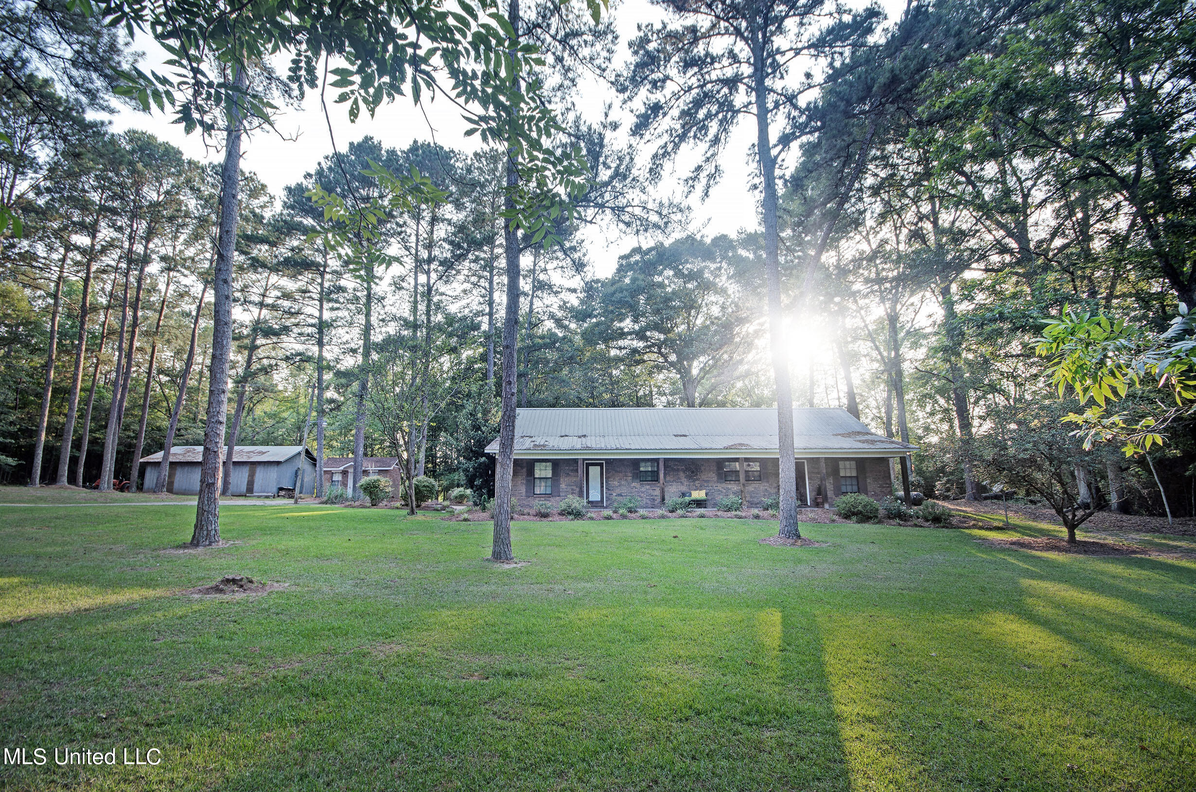 250 Roberts Road Newhebron, MS 39140 - Photo 3 of 46 IMGP1882_3_4