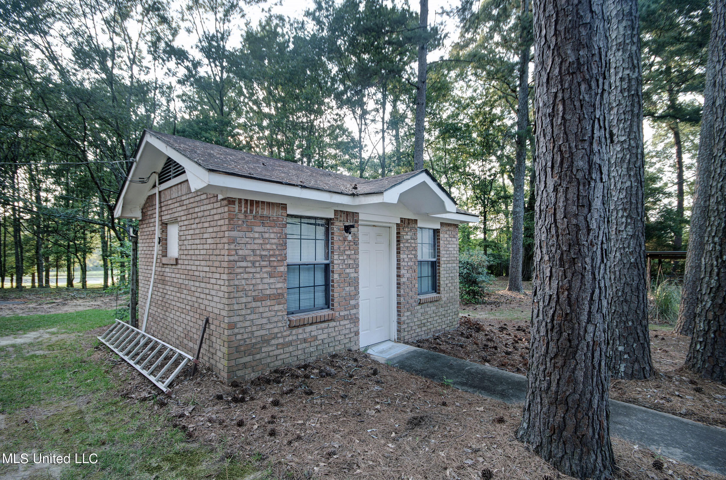 250 Roberts Road Newhebron, MS 39140 - Photo 9 of 46 IMGP1933_4_5