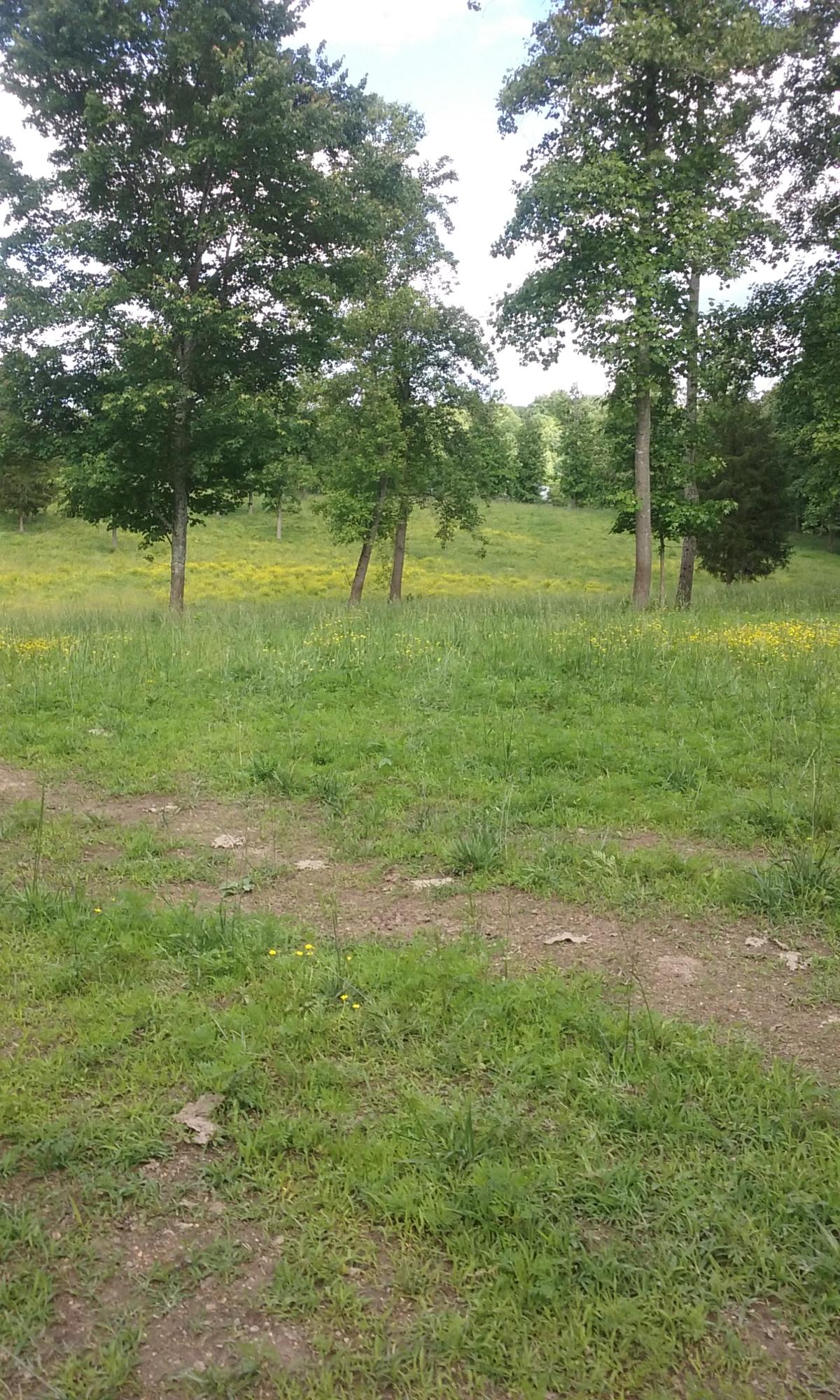 Stockton Valley Road Philadelphia, TN 37846 - Photo 2 of 8 082
