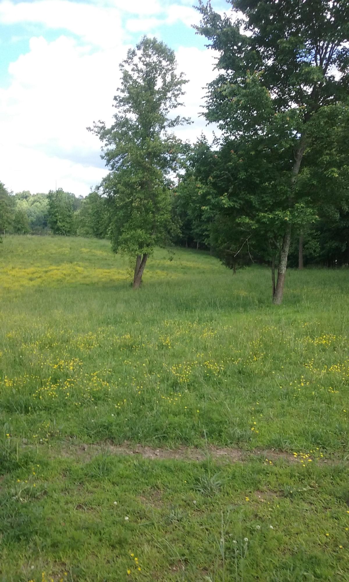 Stockton Valley Road Philadelphia, TN 37846 - Photo 4 of 8 084