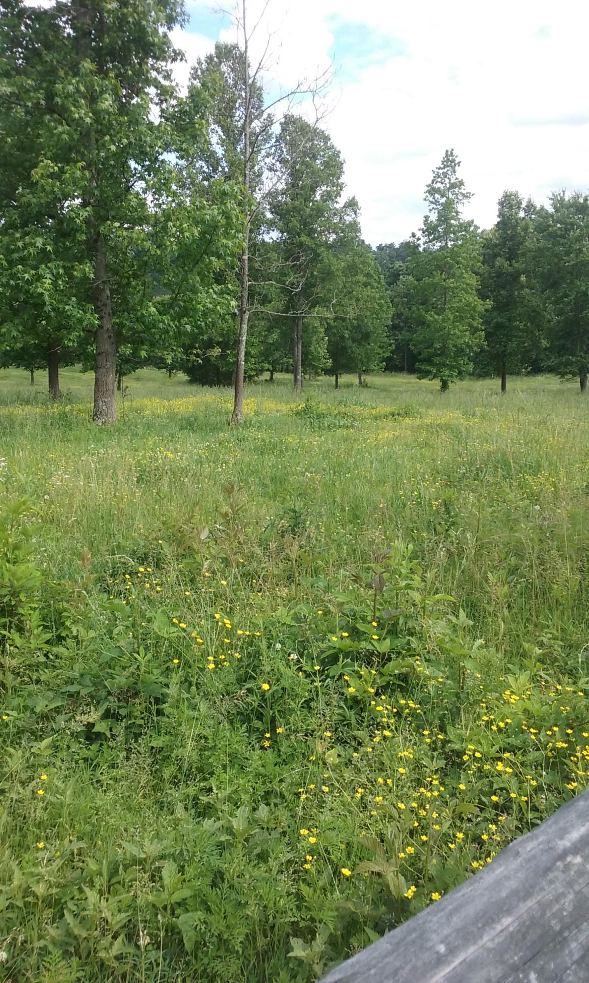 Stockton Valley Road Philadelphia, TN 37846 - Photo 5 of 8 086