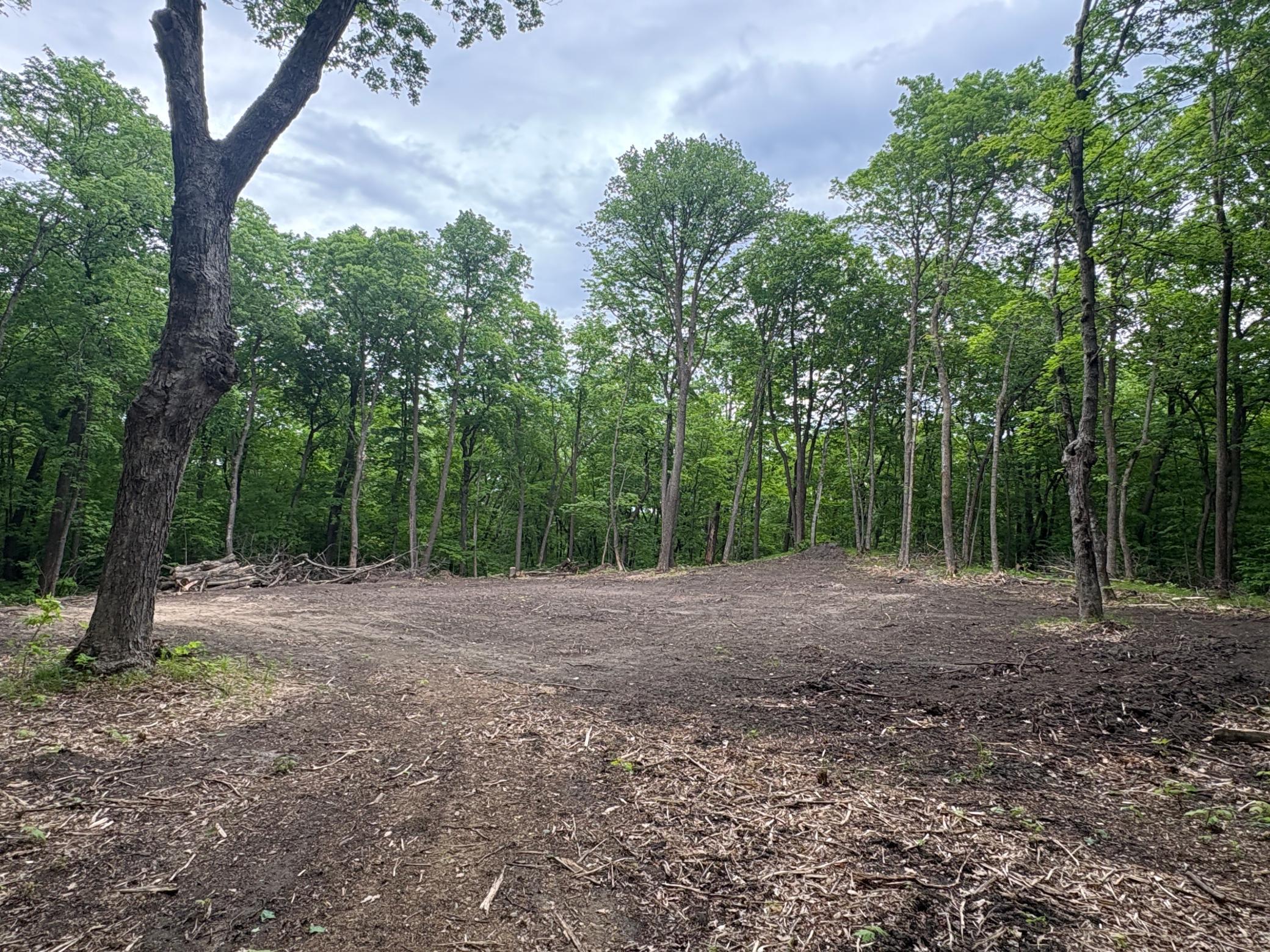 Tbd 380th Street Dent, MN 56528 - Photo 23 of 33