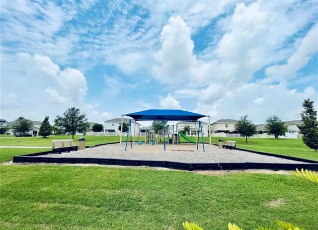 a view of a park with large trees