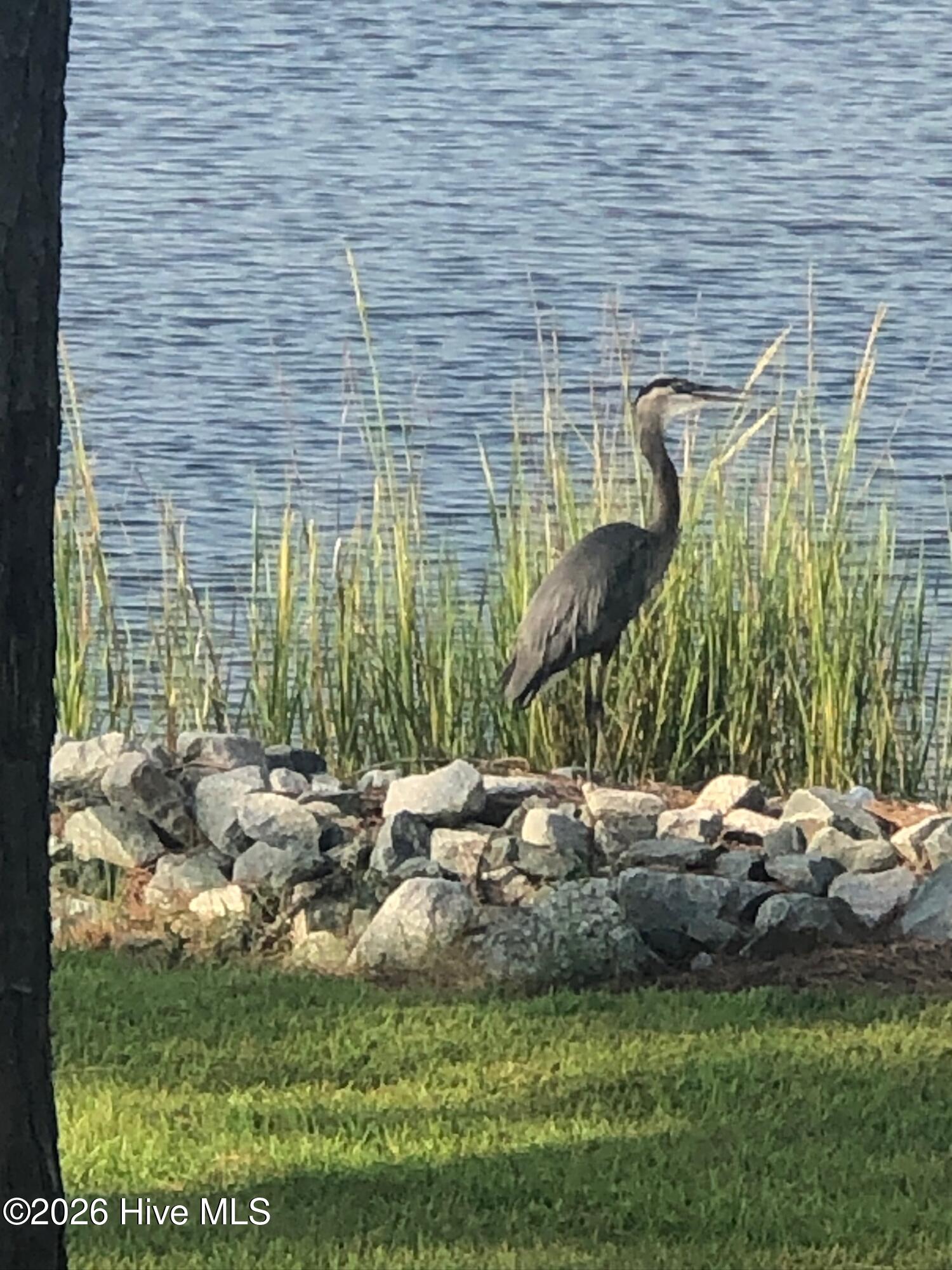 183 Weatherby Way Merritt, NC 28556 - Photo 62 of 68 IMG_0083