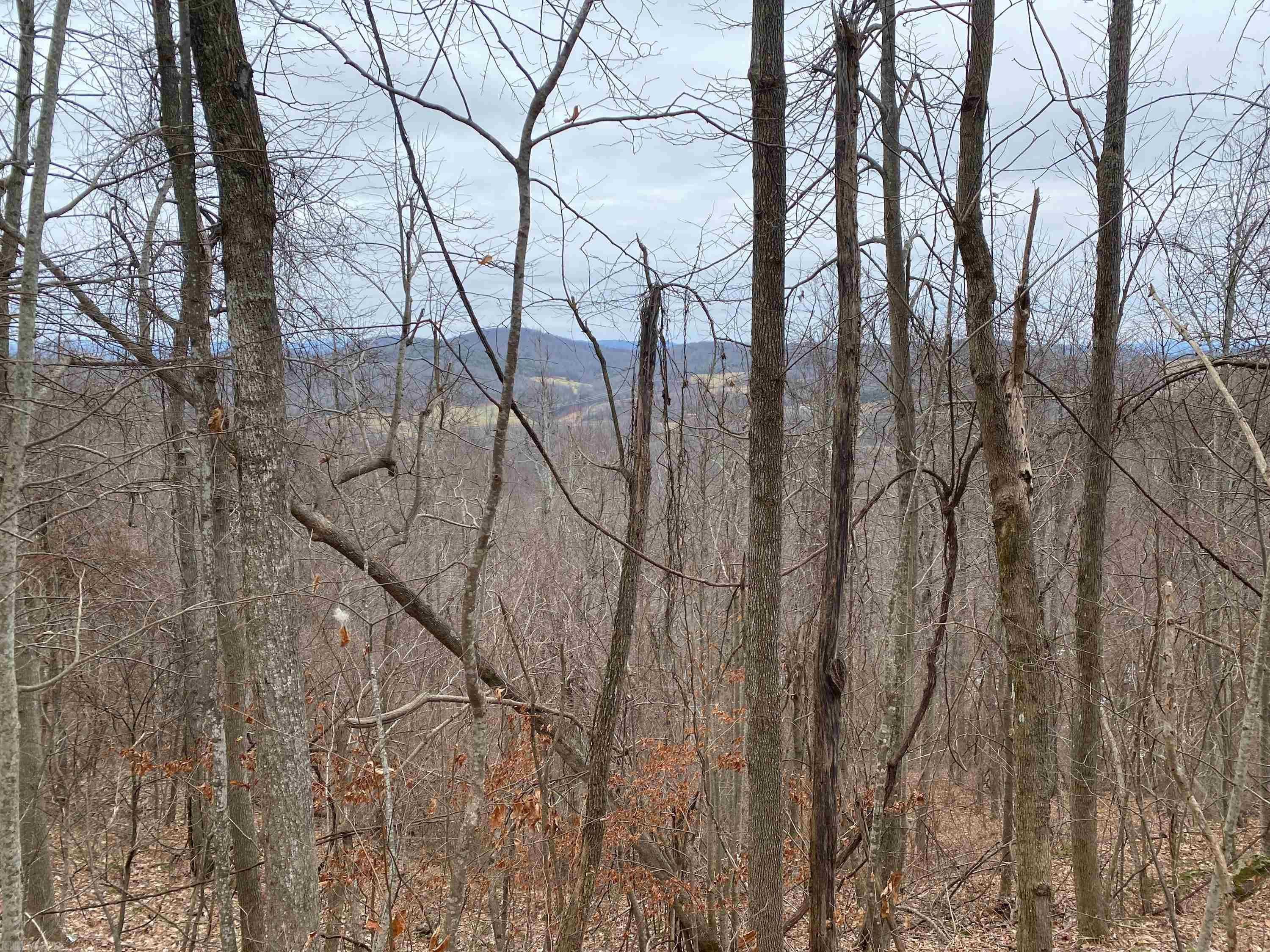 Tbd Broad Hollow Road Floyd, VA 24091 - Photo 7 of 26 Gallery Image 7