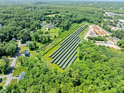 a view of a yard with plants