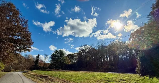 a view of dirt field with large trees