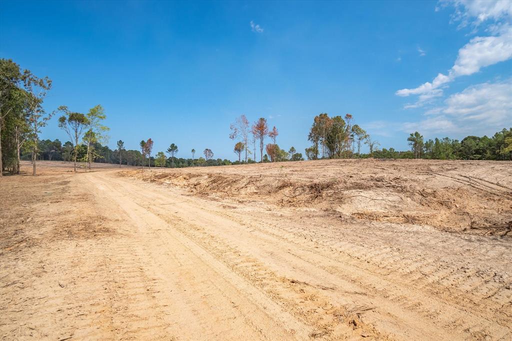 4307 Rd Larue Tx 75770 Road Larue, TX 75770 - Photo 5 of 17 Expansive cleared land parcel featuring a visible dirt path and scattered mature trees