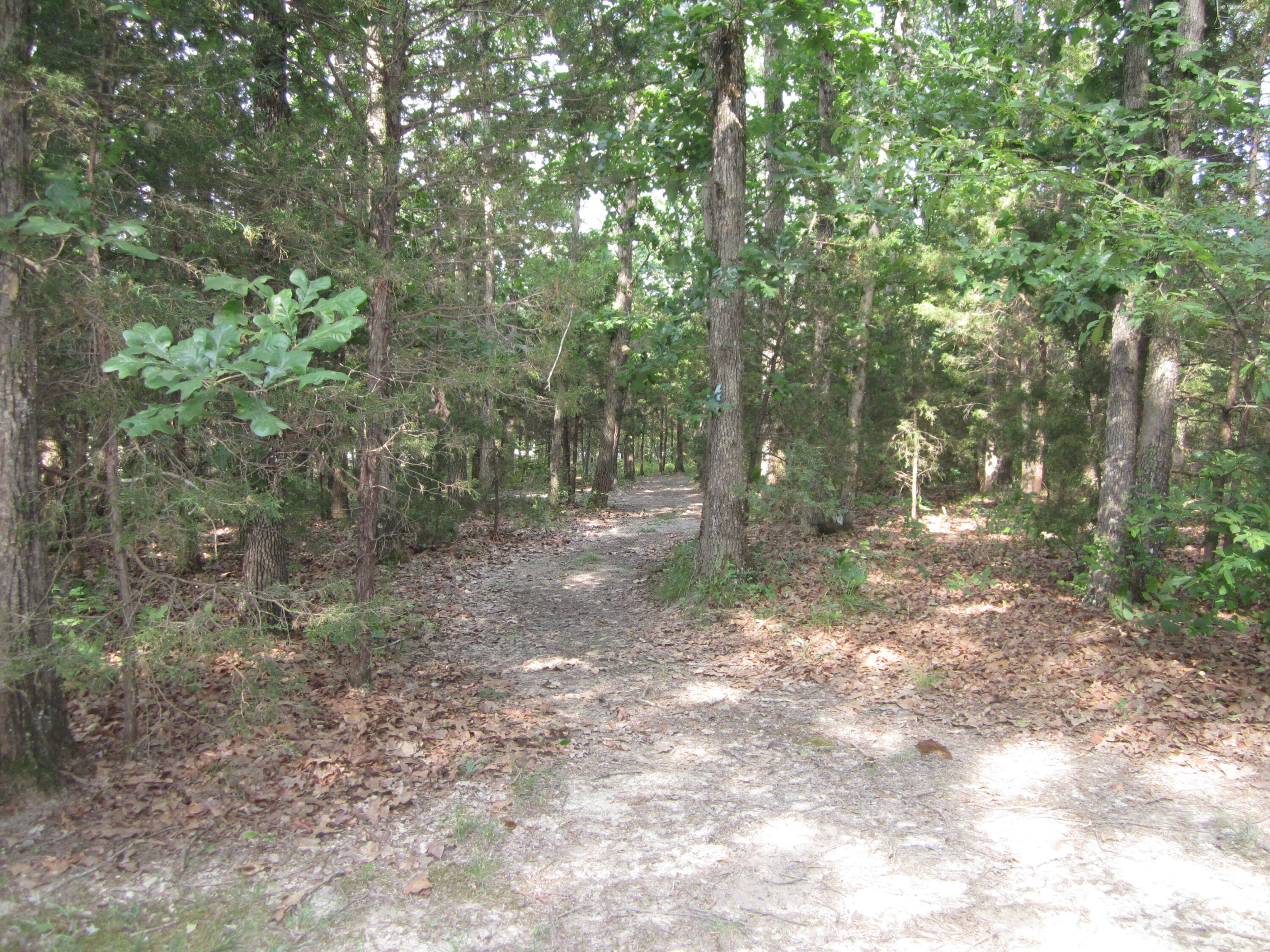 202 Lamb Road Crab Orchard, KY 40419 - Photo 34 of 40 IMG_0018