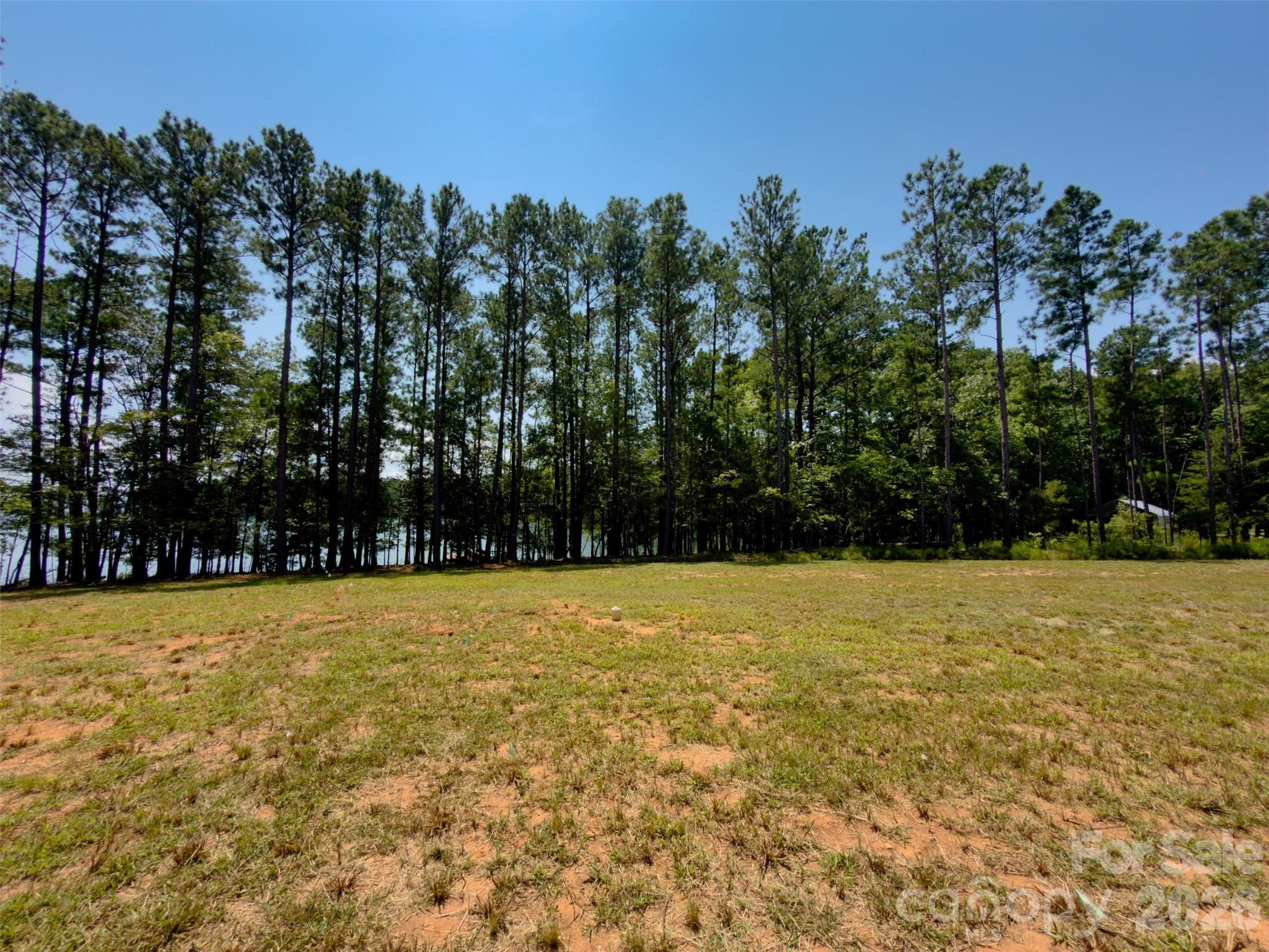 955 Cole Trestle Road Blair, SC 29015 - Photo 10 of 30 Gallery Image 10