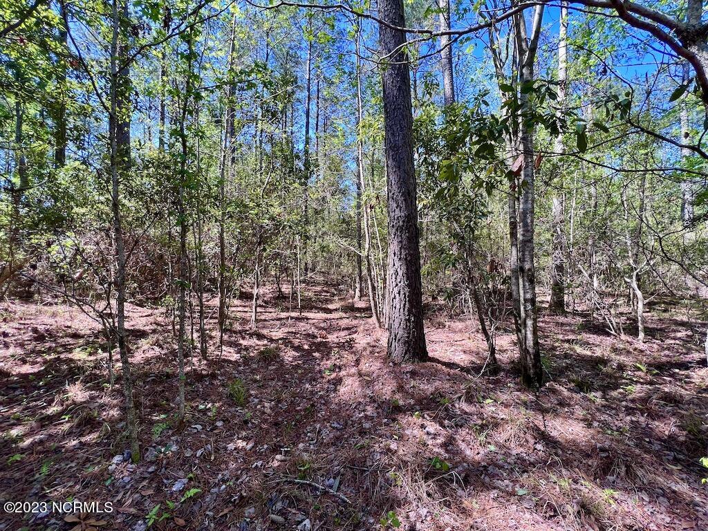 0 Arant Farm Road Merritt, NC 28556 - Photo 34 of 38 34