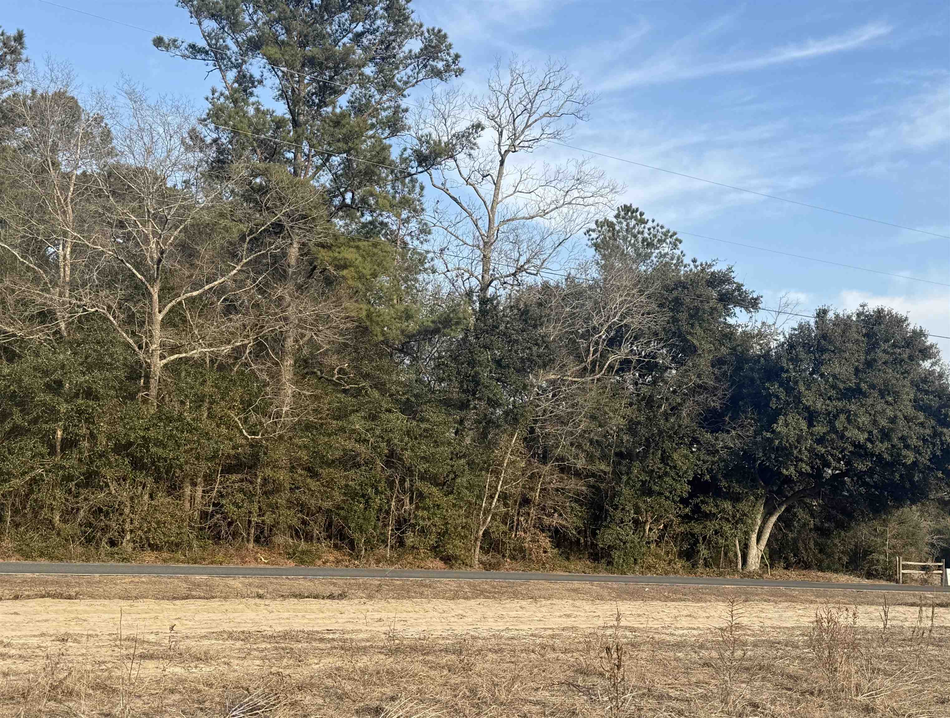 120 Rough Horn Road Evergreen, NC 28438 - Photo 2 of 3