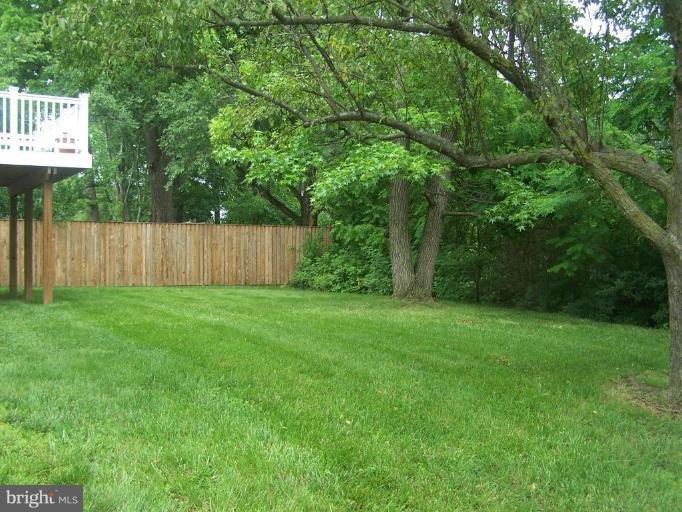 525 Gladhill Road Odenton, MD 21113 - Photo 4 of 26 Back yard