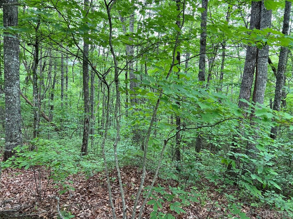 Lot # Shepherds Gap Road Cullowhee, NC 28723 - Photo 3 of 5 Gallery Image 3