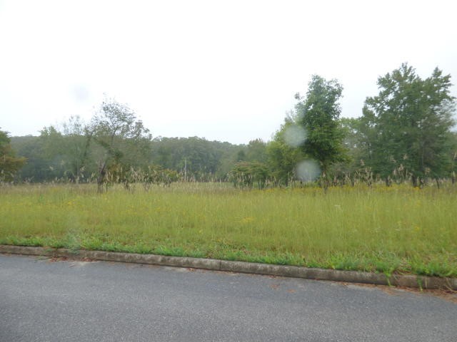 5 Stump Hollow Road Spring City, TN 37381 - Photo 7 of 19