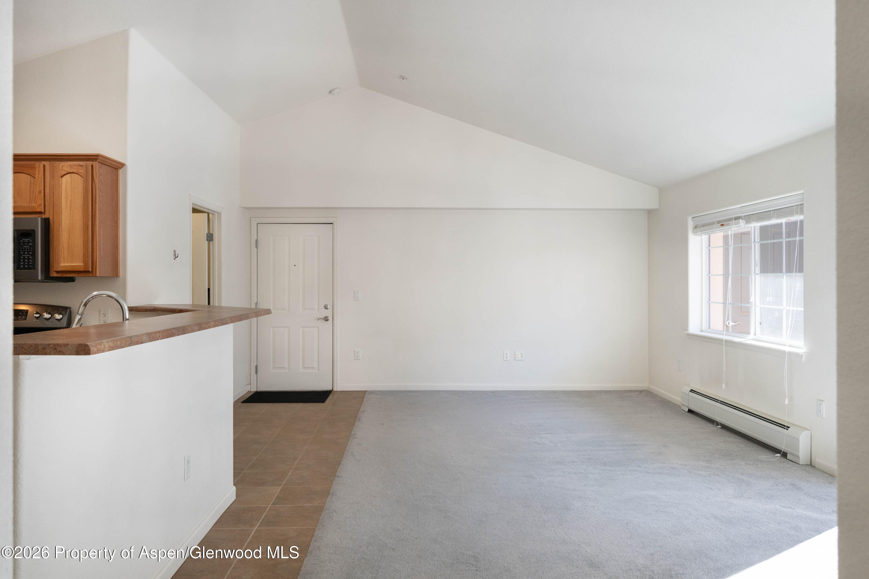 633 River View Drive, Unit 1008 New Castle, CO 81647 - Photo 2 of 15 Entry