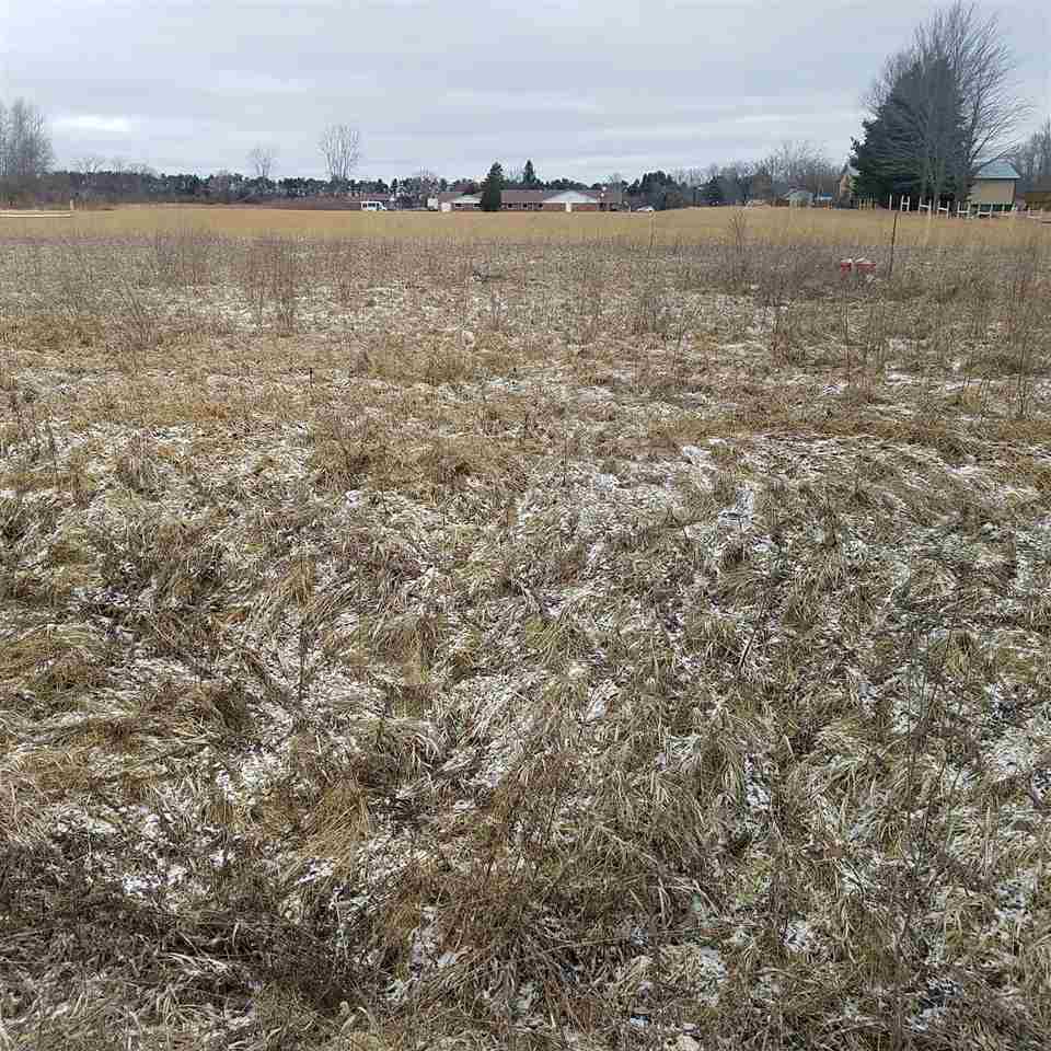 0 Ellison Road Sterling, MI 48659 - Photo 5 of 5