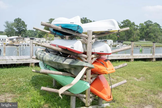 a view of a swimming pool with a yard and plants