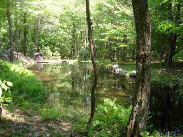 519 Howe Road Lake Luzerne, NY 12846 - Photo 12 of 15 Photo 12