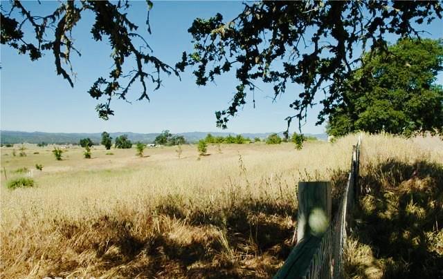 50850 Martinez Road Bradley, CA 93426 - Photo 26 of 32