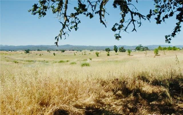 50850 Martinez Road Bradley, CA 93426 - Photo 30 of 32