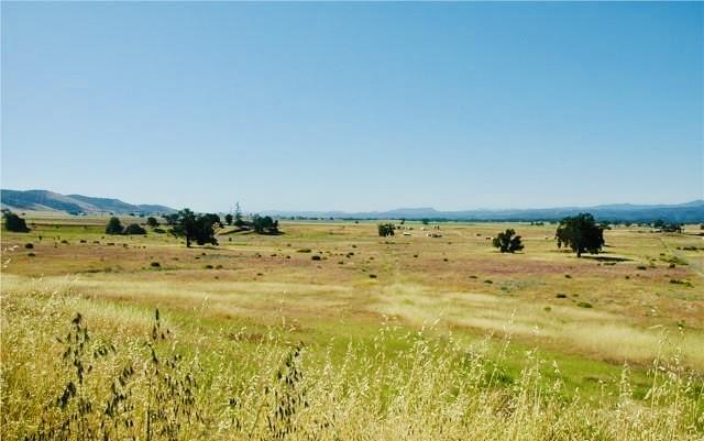 50850 Martinez Road Bradley, CA 93426 - Photo 6 of 32