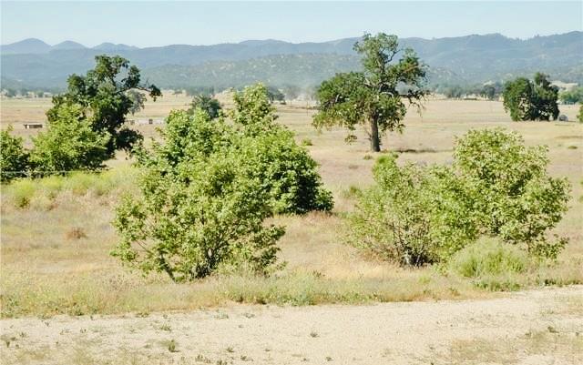 50850 Martinez Road Bradley, CA 93426 - Photo 8 of 32