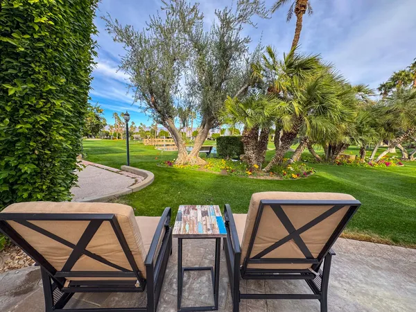 a view of a park with large trees