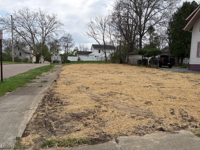 777 Ruth Avenue Akron, OH 44307 - Photo 2 of 3 Front View 2